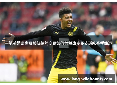 一笔英超冬窗最被低估的交易如何悄然改变多支球队赛季命运 一笔英超冬窗最被低估的交易如何悄然改变多支球队赛季命运