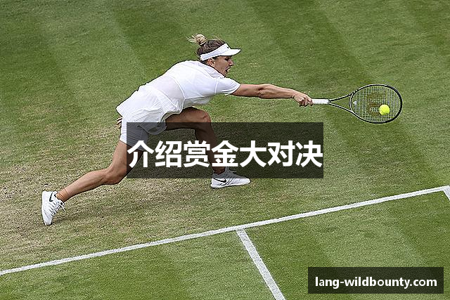 介绍赏金大对决